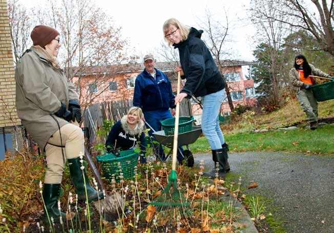 Gemensamma städdagar ordnas ofta vår och höst i bostadsrättsföreningen. Deltagandet är frivilligt, men att vara med är ett bra sätt att lära känna sina grannar under trivsamma former.