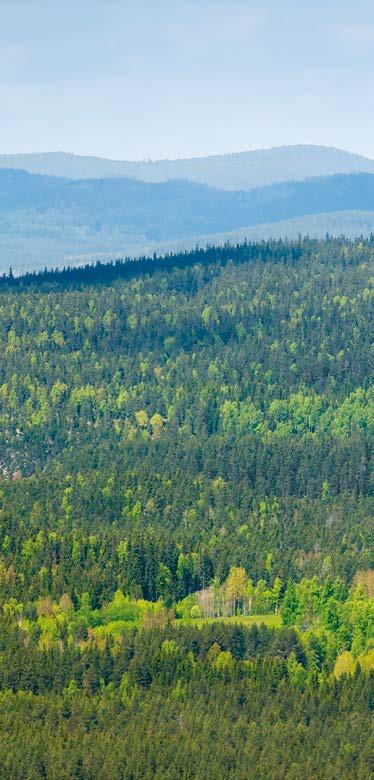 Växter tar upp kväve i form av nitrat-och ammoniumjoner som frigörs när dött organiskt material bryts ner, men i vårt relativt kalla klimat går den naturliga nedbrytningen långsamt.