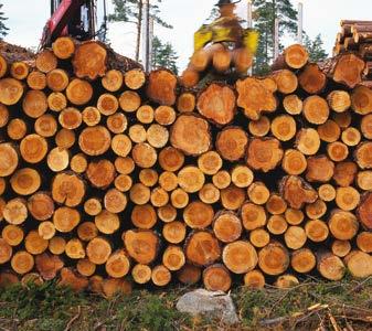 För att minska risken för snö- och stormskador, kan det dock vara klokt att vänta ytterligare något år. Spridningen utförs under växtsäsongen från början av maj till slutet av september.