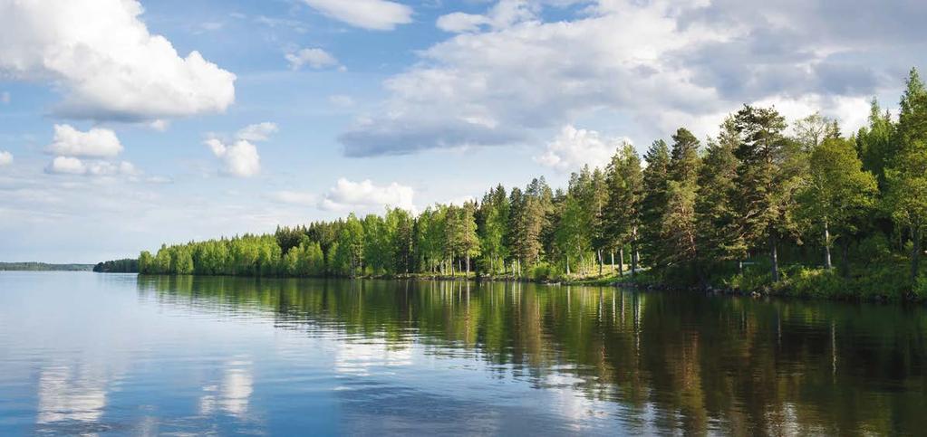 Skogsgödsling och miljö Effekterna av skogsgödsling är väl utredda och om man följer de rekommendationer som finns är risken för negativa miljöeffekter mycket liten.