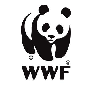 World s Children s Prize Foundation Programmet World s Children s Prize (WCP) utbildar och stärker barn så att de växer upp till medmänskliga changemakers som står upp för allas lika värde, barnets