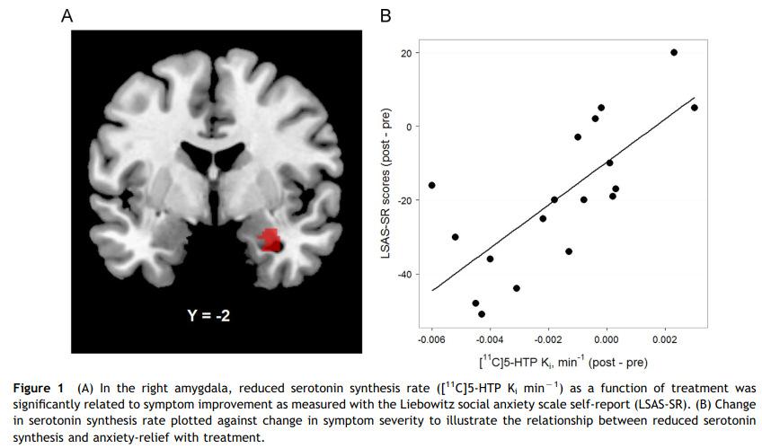 behandling Högre ackumulation av 11C-5HTP i amygdala och ACC: