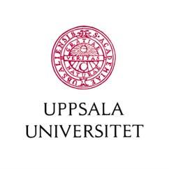 forskningsarbetet. De kurser som ingår i den individuella studieplanen kan dels hämtas bland matematik och beräkningsvetenskap, och dels relevanta kurser i tillämpade ämnen.