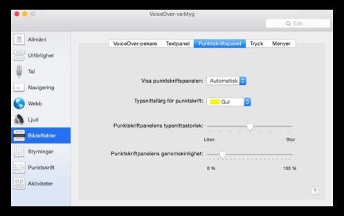 I verktyget Bildeffekter under fliken Punktskriftpanel bestämmer du storleken på VoiceOver-fönstret för
