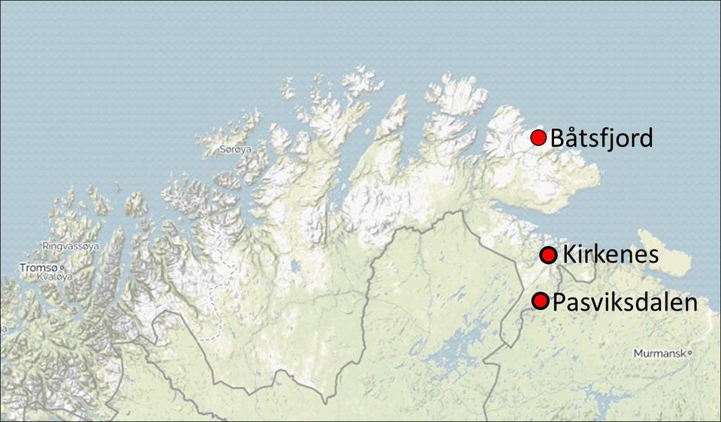 RESAN I KORTHET Dag Orter/resplan 1 Resan startar på Kirkenes flygplats. Biltransport till Båtsfjord (25 mil) med landskapsfotografering längs vägen. Natt i Båtsfjord.