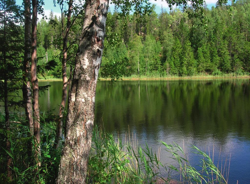 Tuppkycklingar som dödats med koldioxid kommer ut ur gaskabinettet. Foto: Marcus Hansson Var finns etiken? Hur kan någon njuta av maten när man vet hur djuren behandlas?