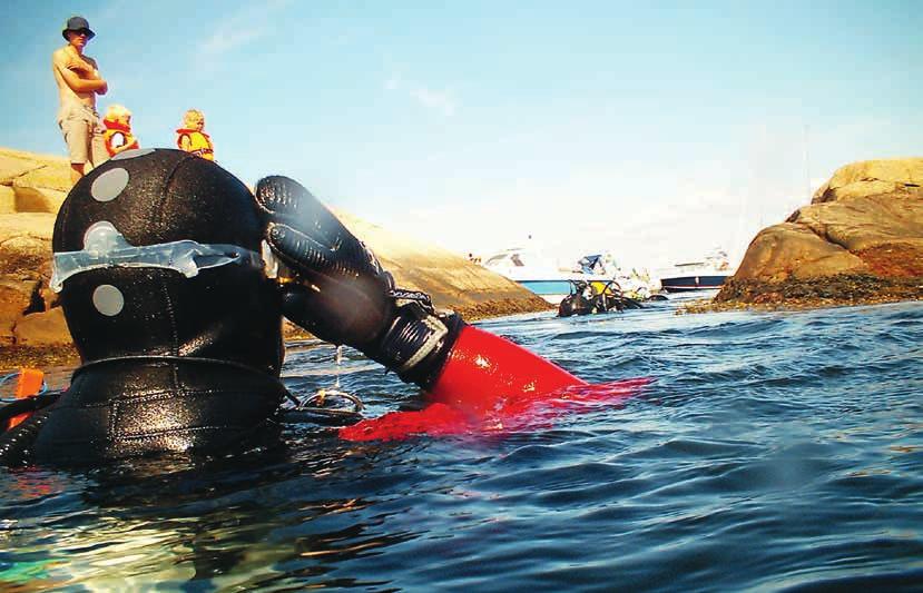 DYKA OCH SNORKLA Bohuslän erbjuder fina dykvatten. Lysekil, Väder öarna, Marstrand och Kosterhavet är riktiga eldoradon för dykare.