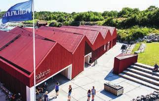 Here you can explore life both in water and on land. To paddle, hike, snorkel, bird watch and fish are some activities you can do. Also, visit naturum (visitor centre) located in Ekenäs on Sydkoster.