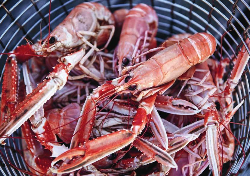 alta SMAKER FRÅN BOHUSLÄN Bohuslän karaktäriseras i mångt och mycket av härliga salta smaker, av dess omgivningar med historiska små fiskesamhällen och kunniga fiskare.