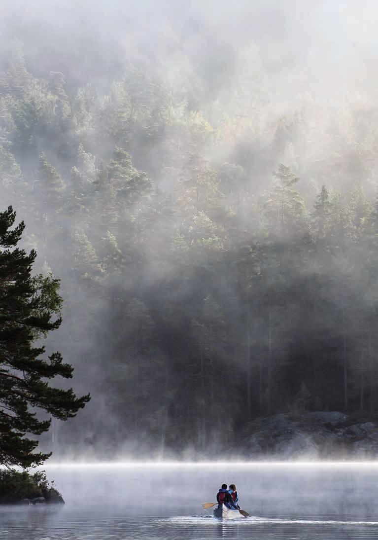 Det salta havet längs den bohuslänska kustremsan, de trolska dalsländska skogarna och de bördiga västgötska slätterna. Västsverige är verkligen en kontrastrik region.