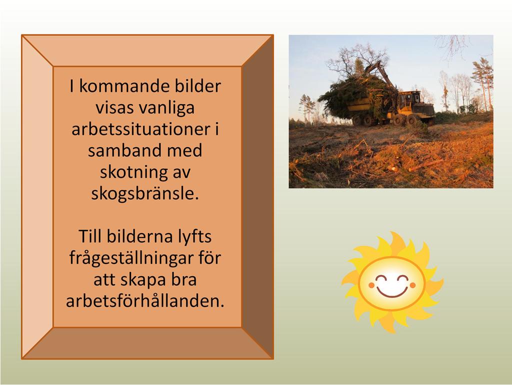 För den som vill läsa mer kan följande rekommenderas: Skogsbränslehantering en arbetsmiljöhandledning (2012) Arbetsmiljöfaktorer i skogsenergibranschen Fallstudier med fokus på buller, vibrationer