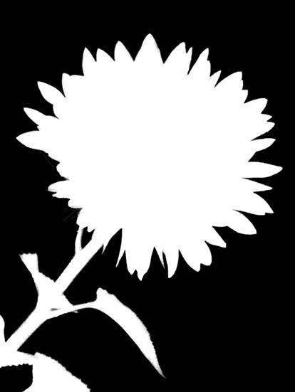 Huvudbiblioteket 7/6, tisdag, kl. 11.00.