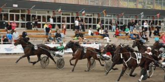 10. Helkväll på Åby, för alla. Kom till Åby för en kväll med spänning, förväntningsfullt spel, närheten till hästarna och givetvis mat & dryck. Datum: Torsdag 18 maj 2017 Avresa: Stadshuset.