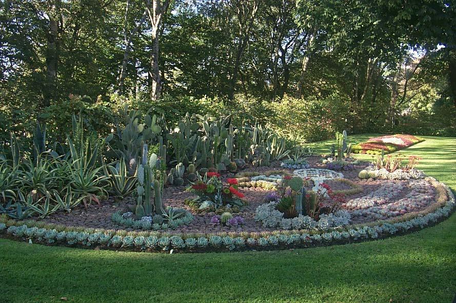 11. Växthusvisning på Parkavdelningen i Varberg En av våra växthusansvariga kommer att ha en guidning genom våra fulla växthus med sommarens egenodlade sommarblommor. Temat i år är Rymden.