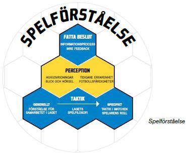 Spelförståelse SPELARUTBILDNINGSPLAN GENERELLT OM TRÄNING Teoretiskt i spelarutbildningsplanen ligger fokus på tre praktiskt orienterade områden som tillsammans utgör förutsättningarna för att