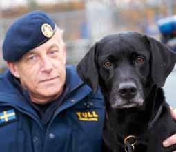 får därför dela på titeln Årets polishund 2012. Den 15 mars 2012 förolyckades ett norskt Herkulesplan i Kebnekaisemassivet.