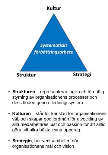 Årets tema är Enastående resultat genom struktur, kultur, strategi och systematiskt förbättringsarbete.