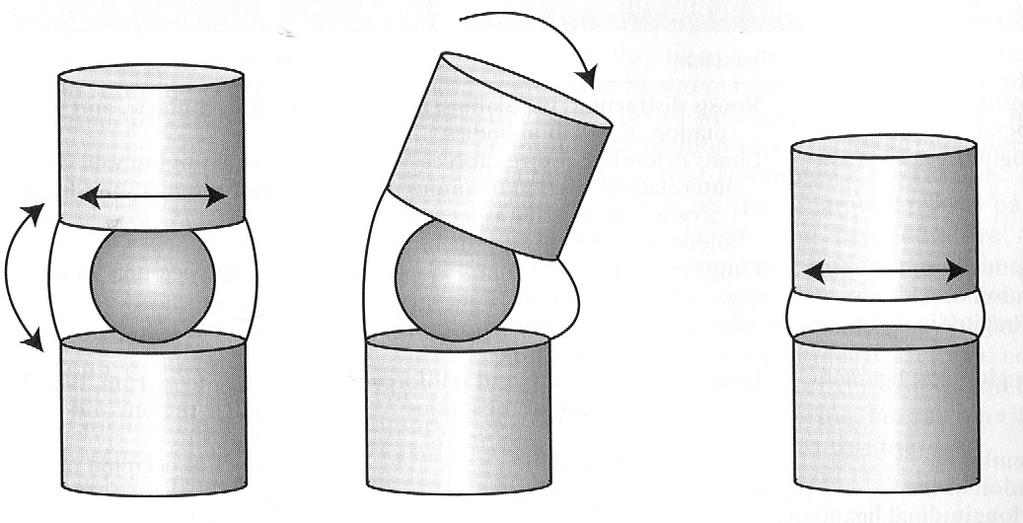 Nucleus pulposus Strukturellt-