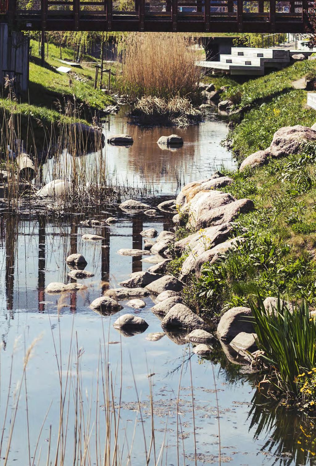 Vilda, vänliga Vallastaden! Det är något med atmosfären här ute. Jag tror på blandningen. Att det är så många olika slags människor som lever här. Folk hittar på och gör saker, ordnar grejer.