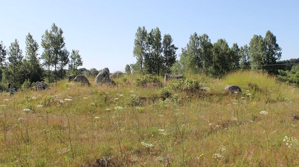 Skärabäcksdösen eller dös i hög vid Vik (RAÄ Rörum 5:1) Dösen i Nyhemsområdet ligger ca 1 km nordväst om fiskeläget Vik.