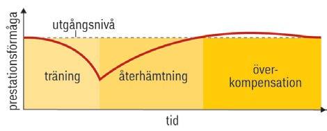 Prgressin Träningens nedbrytning - träningstillstånd - aktiviteten - intensiteten - mängden Återhämtningens uppbyggnad - vila - sömn - kst ch vätska - m.fl.