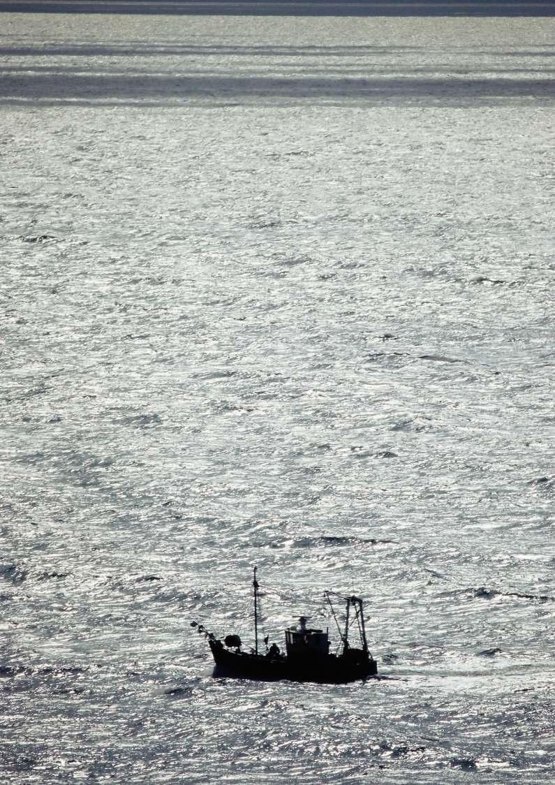 11 Fredag 9:45-17:15 Havsfiske Fiskeutflykt med fiskebåt på Öresund för dig som är mellan 13-19år. Fiskeutrustning finns för samtliga deltagare.