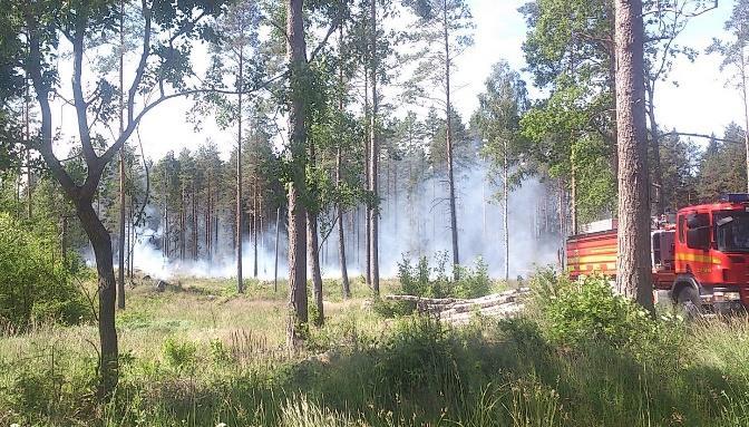 Till min förvåning åkte brandbilen förbi och söderut i Vångsta trots att jag stod bara några hundra meter från branden.