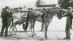 HISTOIK JOHAN JAOBSSON 1914 grundade Johan Jacosson Nitsorgs Travarstuteri. Stuteriet, ett av Skånes första, l stort åde som uppfödare och hästägare.
