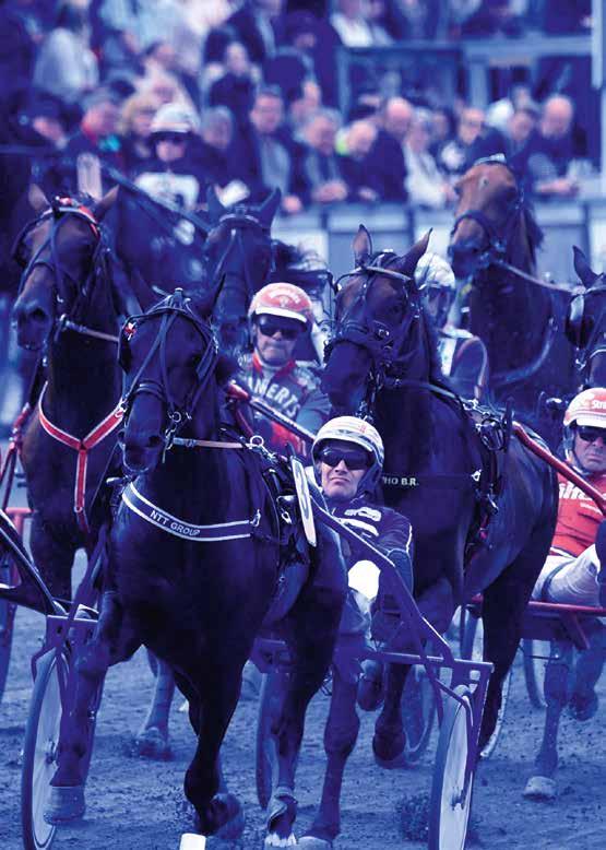 4--1 13 Simoni Js 6 *h 3 11-3-3 34 41 1-5-5 Sjunnesson Jörg 3 J 156 0-18-0 13 09 33 3-43- 10 Svsson laes 10 VG 5 8-7-6 1 1665 71 36-8-31 13 Söderkvist Stefan 1,,4,6 Å 978 11-110-96 11 9565 116