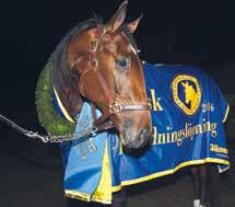 Eriksson hristoffer (Malmqvist Tomas) Eriksson J 11/7-9/ 140 0 u ag x x 34 30 UBINO *16,3 M 13,5 AK *15, AM 111 00 4,r. v.