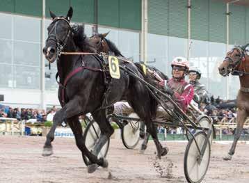 Kriteriinnar 10 Electric Light 7 Deimos acing var 3 arl Lewis ursäktad sast efter Neelix hård öppning i 08-tempo första 500 9 Frid of Nature och lite drygt 1.