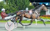 Nordström Körsv: er Nordström 6) DEVIL SOUND Brun hingst, född 015-04-16 Maharajah - Diva oncrete / ine hip Uppfödare: Qrty Invest AB, Tranås Ägare: Qrty Invest AB, Tranås Tränare: Anders Zackrisson,