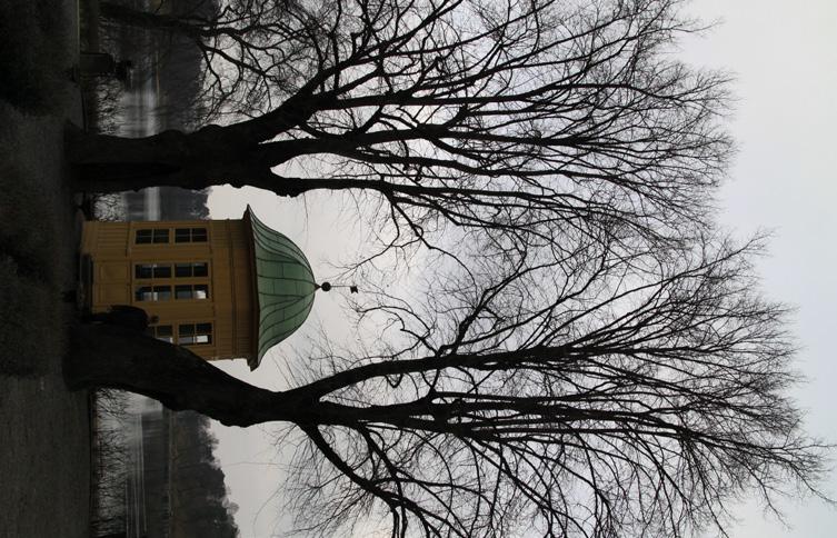 Grenverk skyddas enligt punkt 7 under rubriken Generella åtgärder för träd kring Stallmästaregården. 25. Ulmus glabra, alm. Diam i brösthöjd 90 cm.