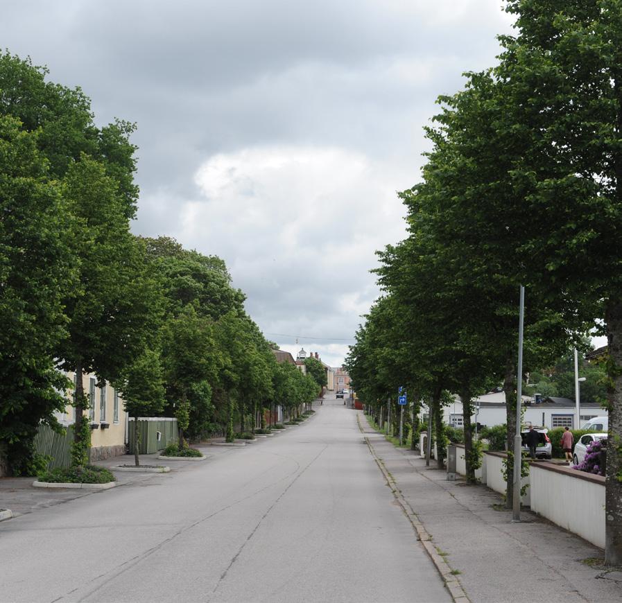 Det beror till viss del på vibrationer orsakad av trafiken på gatorna, belastning av skadliga ämnen genom trafik, uppvärmning och industri.