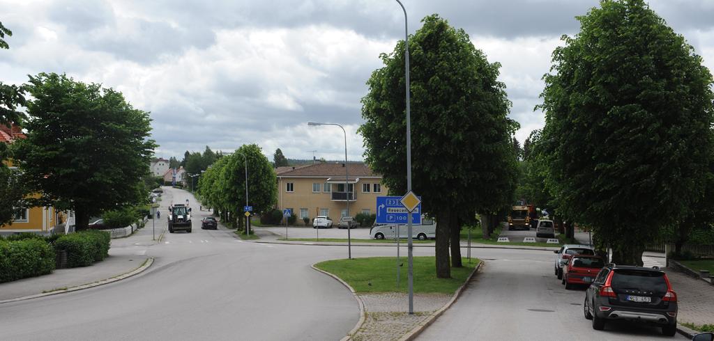 Vid torkperioder ska träden vattnas oftare. Mängden bör ligga runt 200 liter/gång.