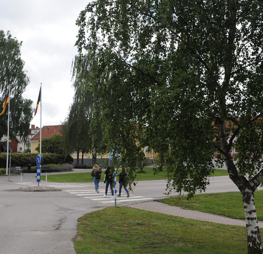 anse som tillräckliga skäl. Anmälan om nedtagning av träd görs till kommunens gatuavdelning.