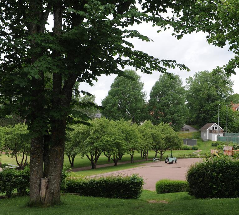 skötsel Beskärning Biologisk mångfald NYA TRÄD Val av