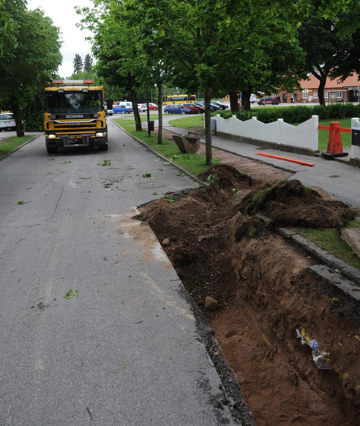 TRÄDVÅRD OCH SKÖTSEL För att nå målet med trädplanen måste arbetet med skyddande av träd, trädvård och återplantering utvecklas.