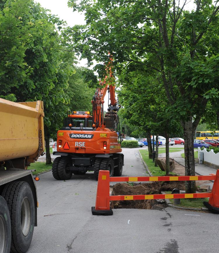 De kommer inte att utvecklas till fullvuxna träd. Vid nyplantering är det viktigt att ta del av kunskapen som finns från utformning av växtbädd och till val av träd och plantering.