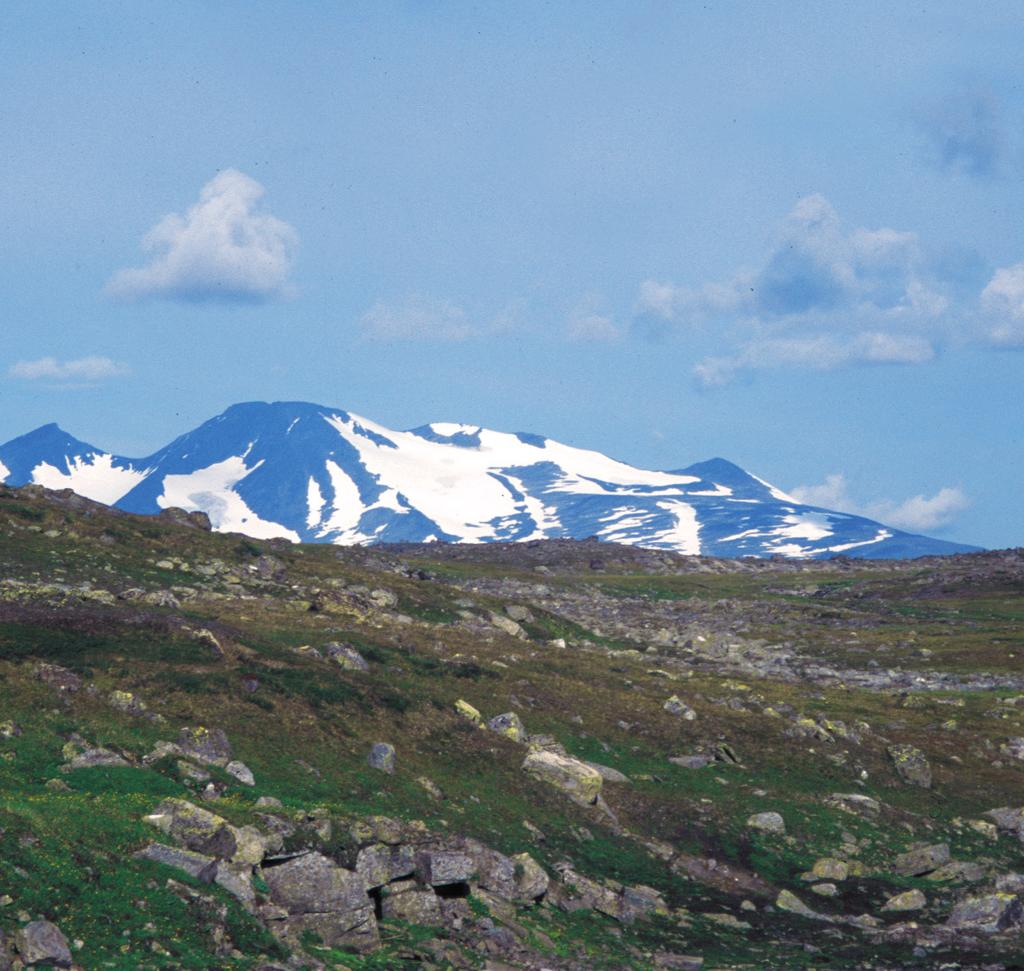 Emma Rehnström, Geologica Consult. 6. Tektoniska kartan över Sveriges berggrund. SG. Bakgrund Jordens tid : Bildkollage av Emma Rehnström, Geologica Consult. Bilder med tillstånd av NASA. 7.