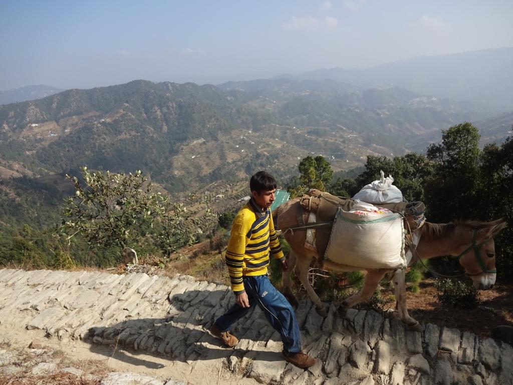 Lantbrukare uppe på tempelberget vid Naukuchiytal i Uttarakhand i Indien, gränslandet till Nepal Organisationen kallar sig för Supa Agricultural Research Group (SARG) och SUPA är förkortning för: