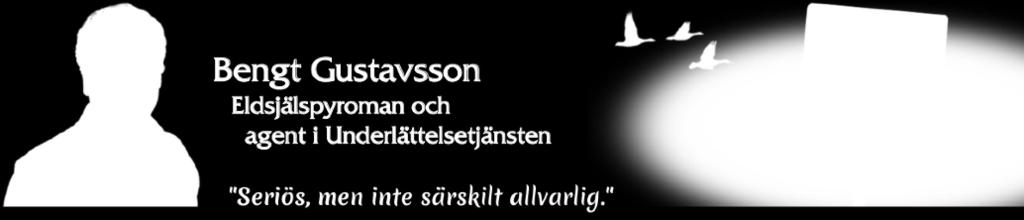 Med facit i hand kan jag konstatera att samhällets budskap är mycket tydligt: Kontroll och ordning är viktigare än förnyelse och en entreprenör är en som stör.