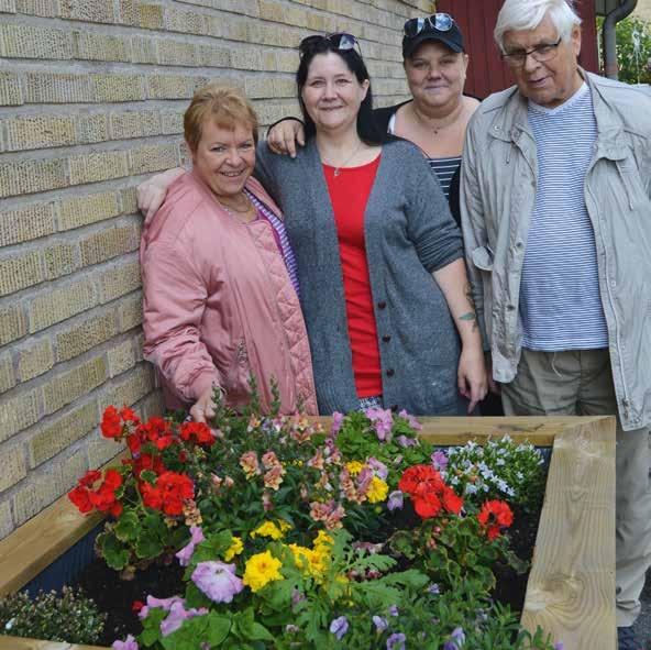 9 Christina Israelsson, Eva Sillanpää, Viktoria Andersson och Tor Jansson samt ytterligare två hyresgäster har ordnat med vackra blomplanteringar på Notgården.