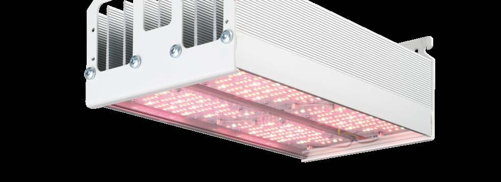 Belysningen i R-serien är därför idealisk för en stegvis investering i LED-teknik genom att HID-belysning delvis ersätts med LED lampa E27