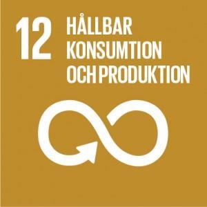 Främja hållbara konsumtions- och produktionsmönster Omställning till en hållbar konsumtion och produktion av varor och tjänster är en nödvändighet för