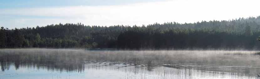 24 Kalkning i Jönköpings län Kalkningen i länet är en av åtgärderna för att nå de nationella och regionala miljömålen Levande sjöar och vattendrag, Bara naturlig försurning, Ett rikt växt- och