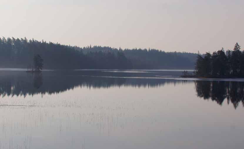 6 Kalkning i Jönköpings län 7 Varför kalkar vi än idag? Kalkmängd i fyra av länets huvudavrinningområden. Hela cirkeln motsvarar spridd kalkmängd 1997-1999, mörk sektor planerad kalkmängd 2017-2019.