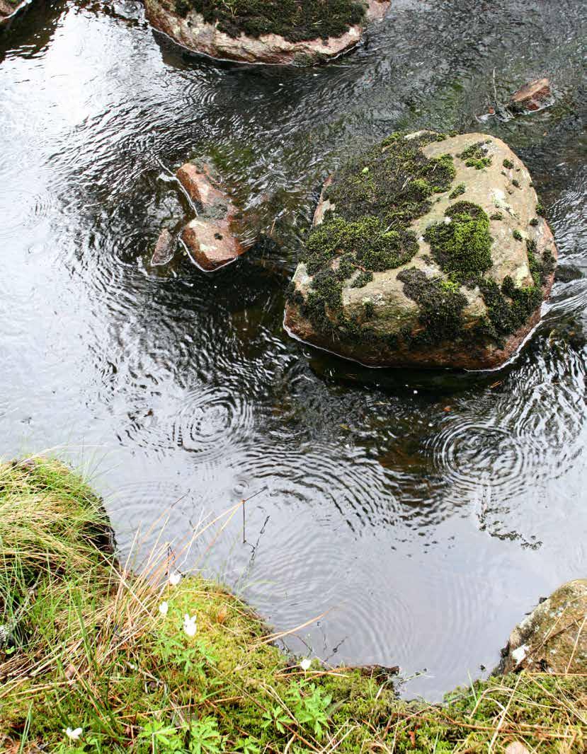 10 11 Klimatförändringens effekter Klimatförändringar är redan idag vår verklighet. Förändringarna påverkar miljön både på land och i vatten.