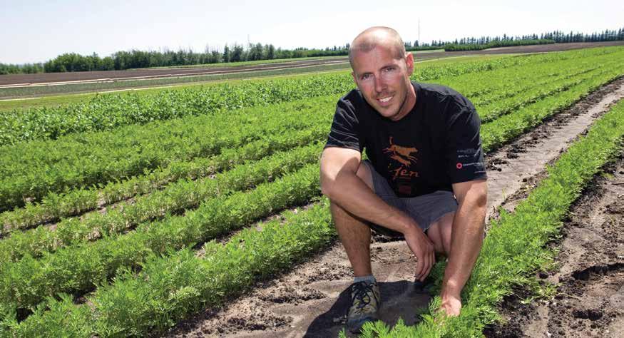 AARON PÅ SUNFRESH FARMS, LOKAL PRODUCENT AV FÄRSKA MORÖTTER KANADAS BÖRDIGA JORD: VÅR KÄLLA TILL FÄRSKA FRUKTER OCH GRÖNSAKER Andra hundfoder innehåller ofta frukt och grönsaker i pulveriserad form