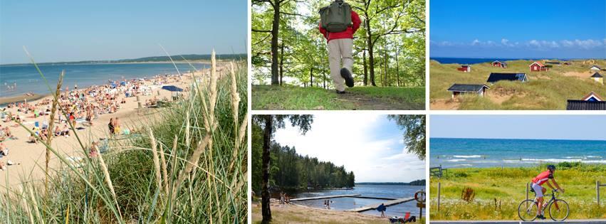 På stranden Motiv- resa från (push) att få uppleva sol, värme och Motiv- attraktivitet (pull) vackert väder (47,3%) Sola och bada på stranden (71,1%) att kunna "bara